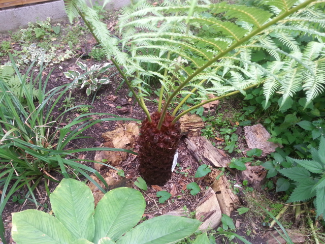 20140822_105255.jpg