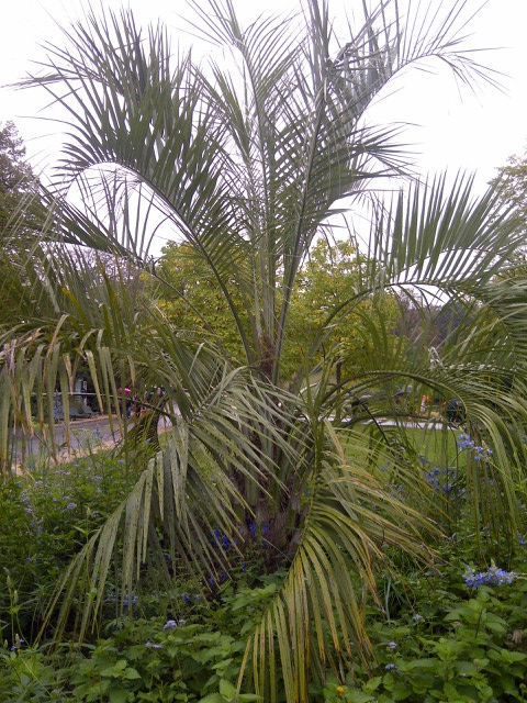 Paris-20141012-00186.jpg