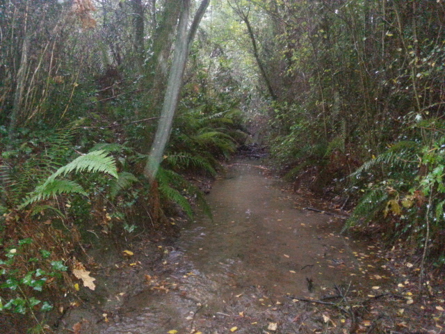 20141012_093807.jpg