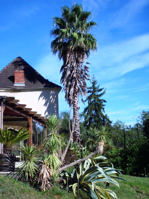HPIM1793.JPG