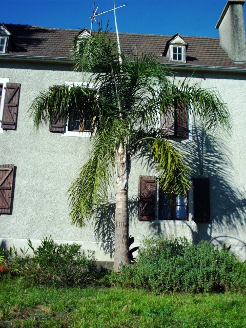 HPIM1794.JPG