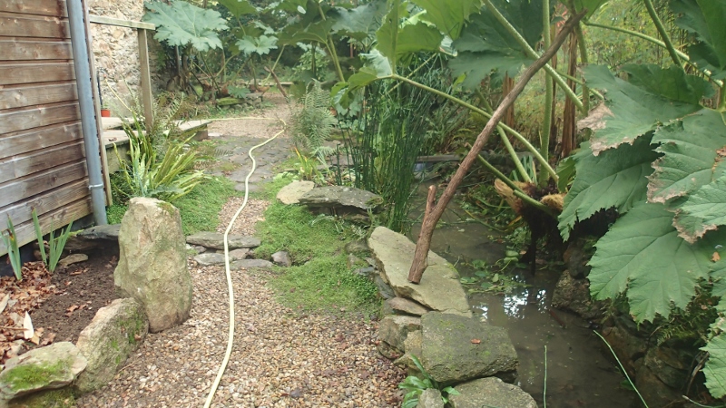 PA240081 (800x450).jpg