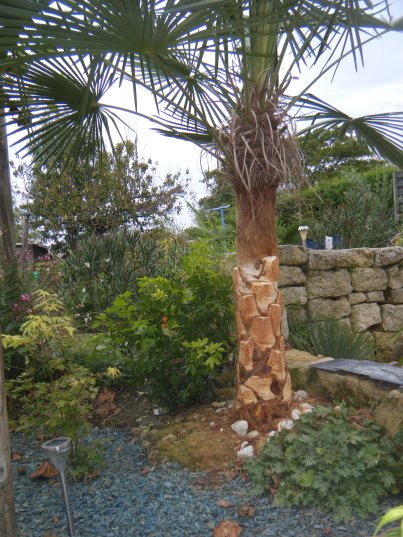 DSCF0722 (copie).JPG