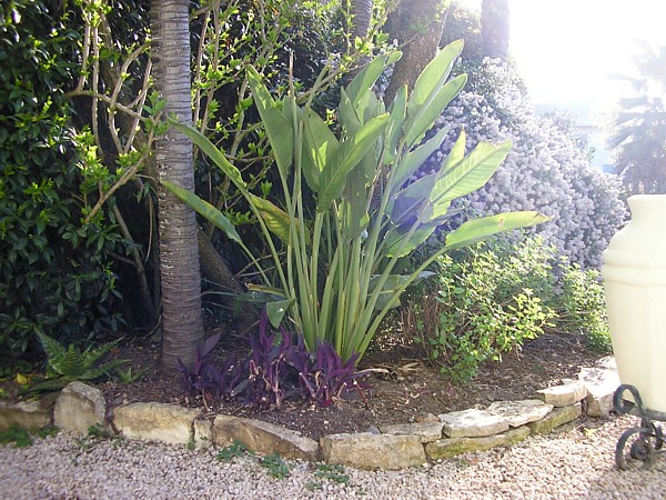 039.14 avril 2014.JPG