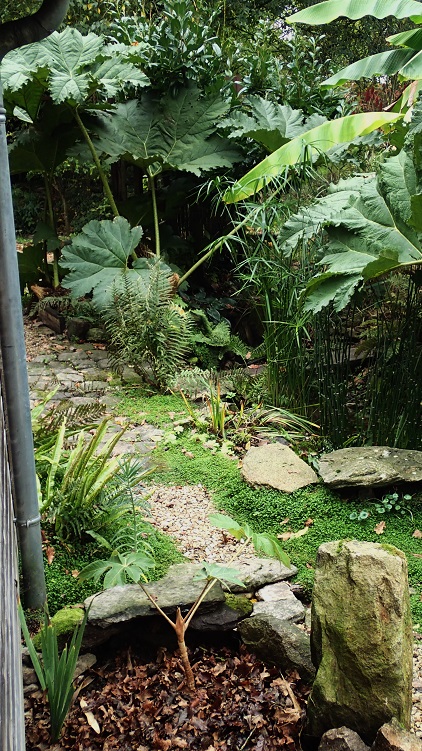 PB060001.jpg