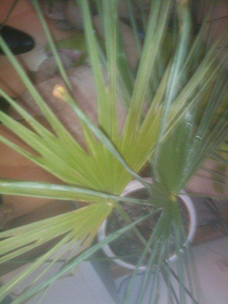 IMAG0040.jpg