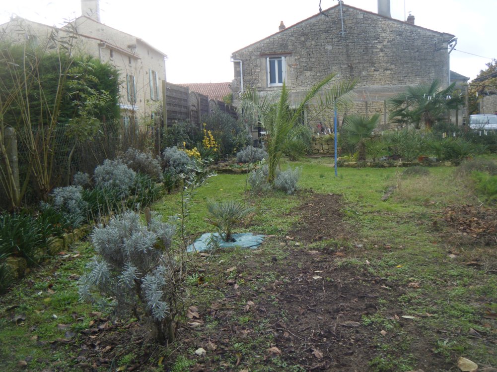 DSCF0777 (copie).JPG