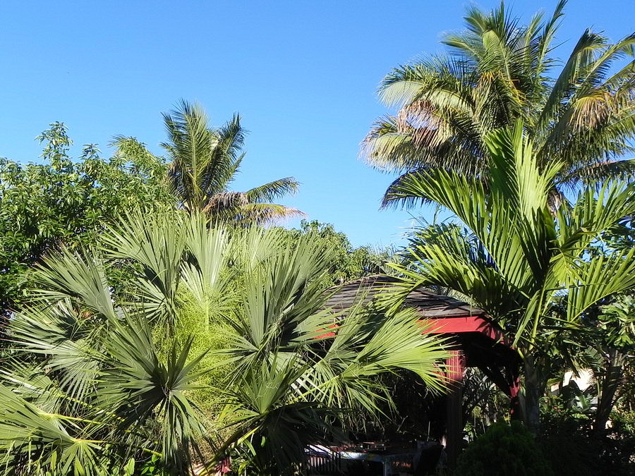 DSCN4738.JPG