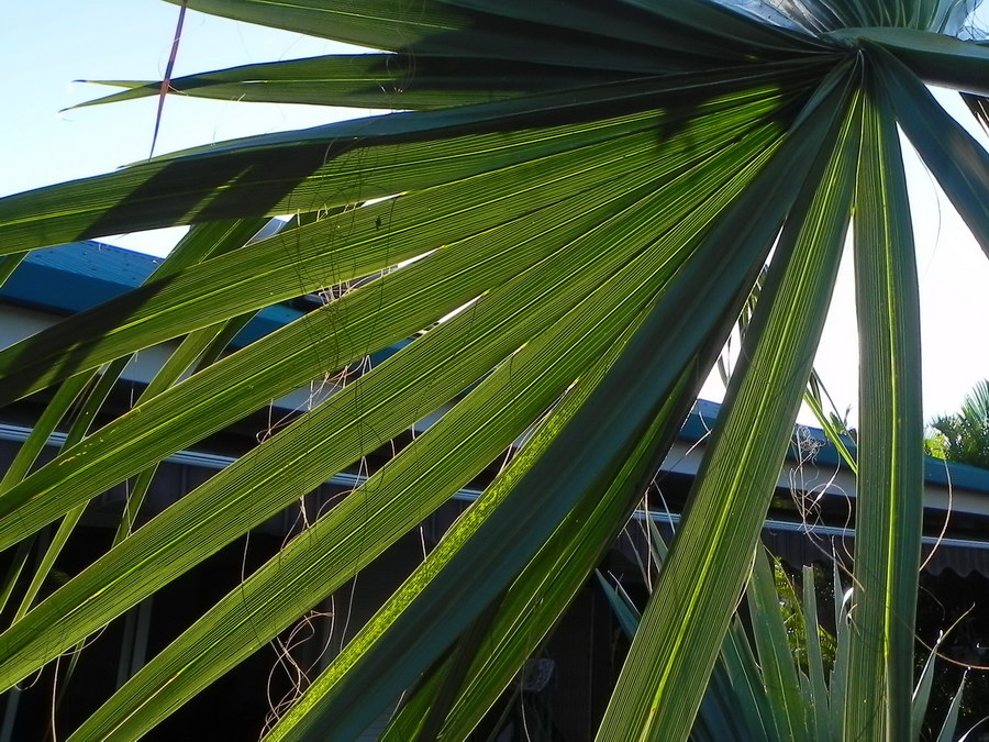 DSCN4755.JPG