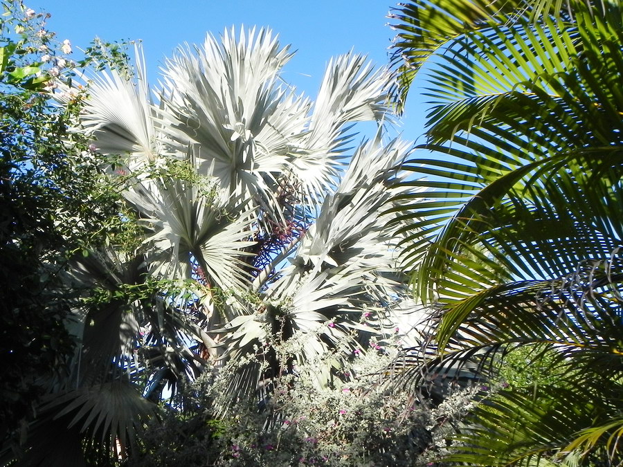 DSCN4758.JPG