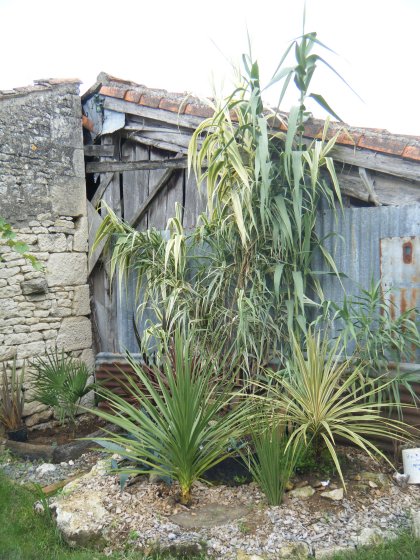 27 août 2014(2) (copie).JPG