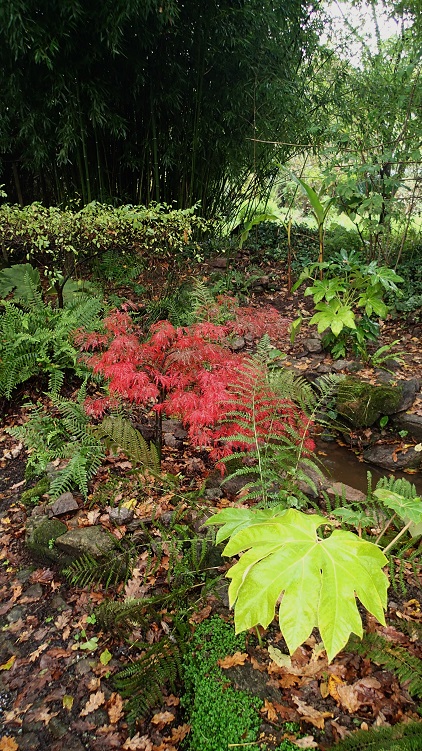 PB110021.JPG