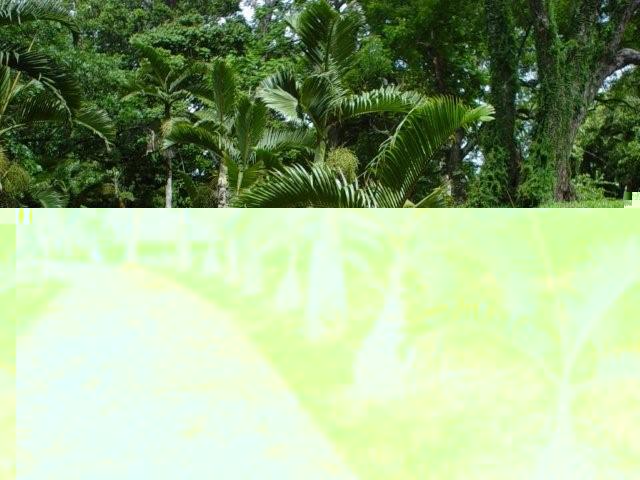 mauritus 070.jpg