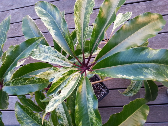 20141113_172025.jpg