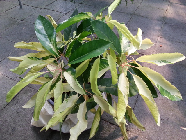 20140925_135644.jpg