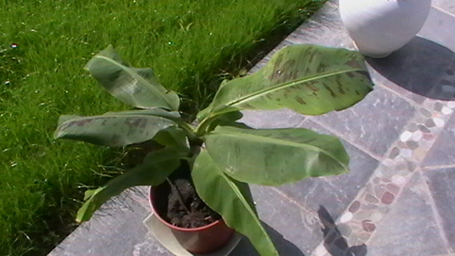 IMGA0789.JPG