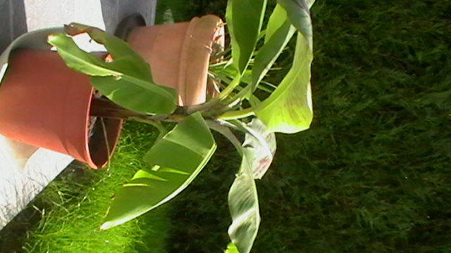 IMGA0790.JPG