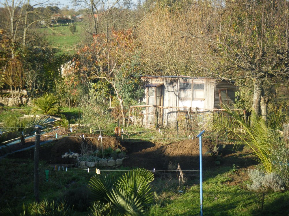 DSCF0917 (copie).JPG