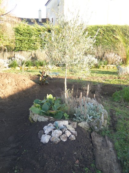 DSCF0916 (copie).JPG