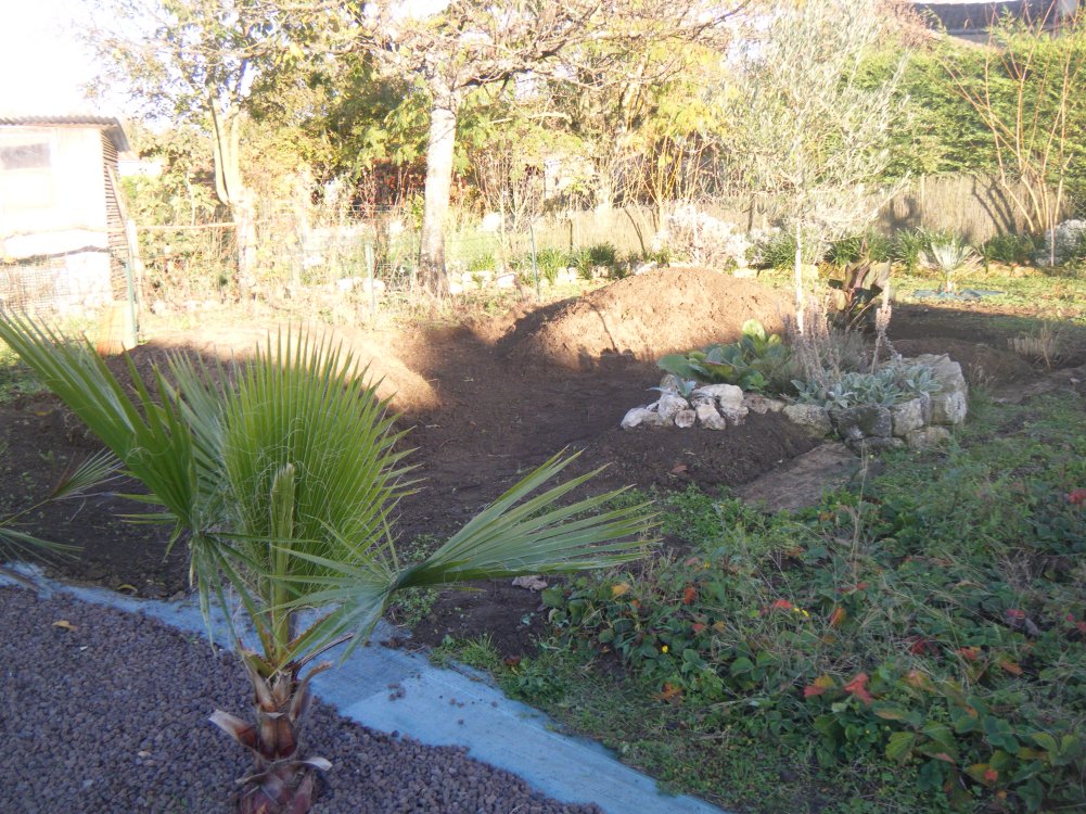 DSCF0914 (copie).JPG