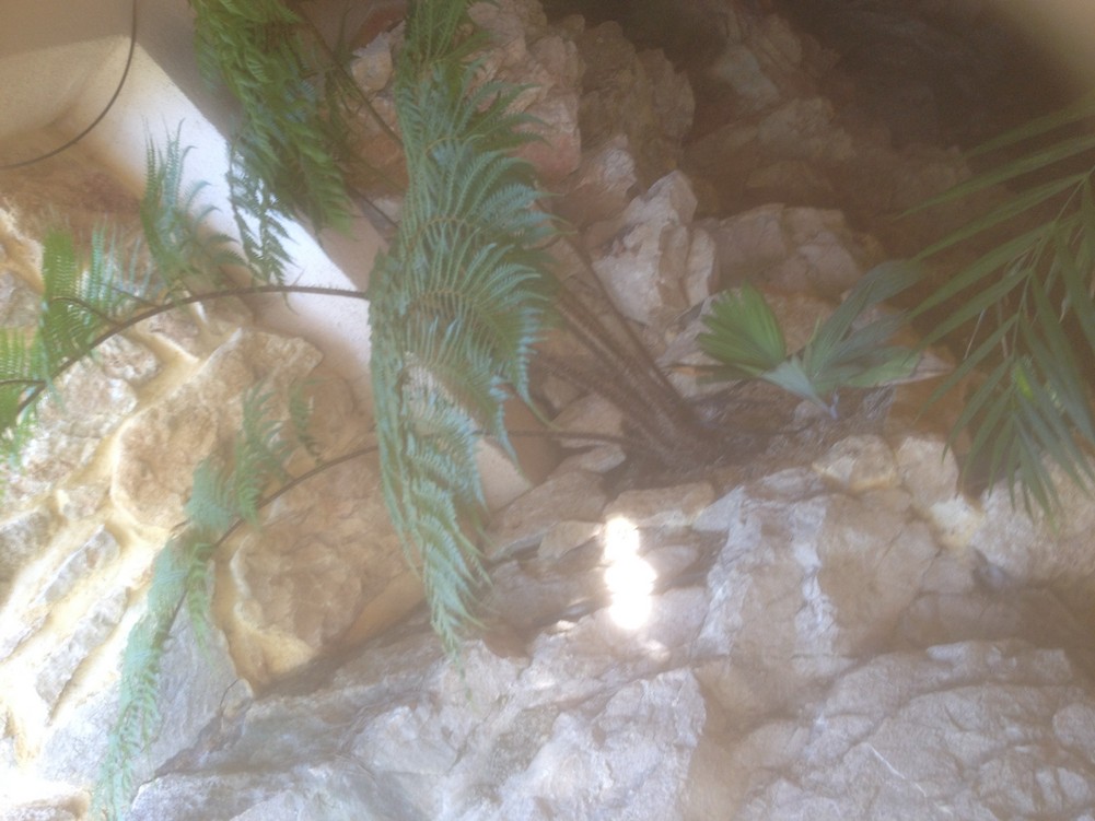Entrée grotte 3.jpg
