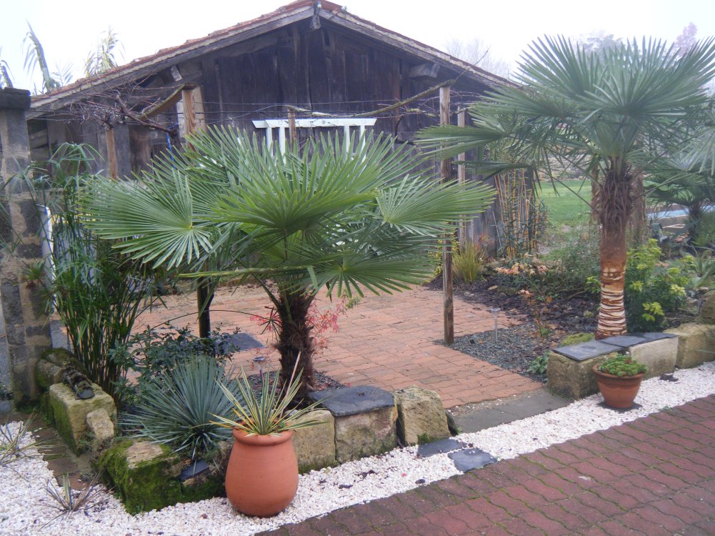 La 2ième terrasse fini cette année et les parterres d'acer