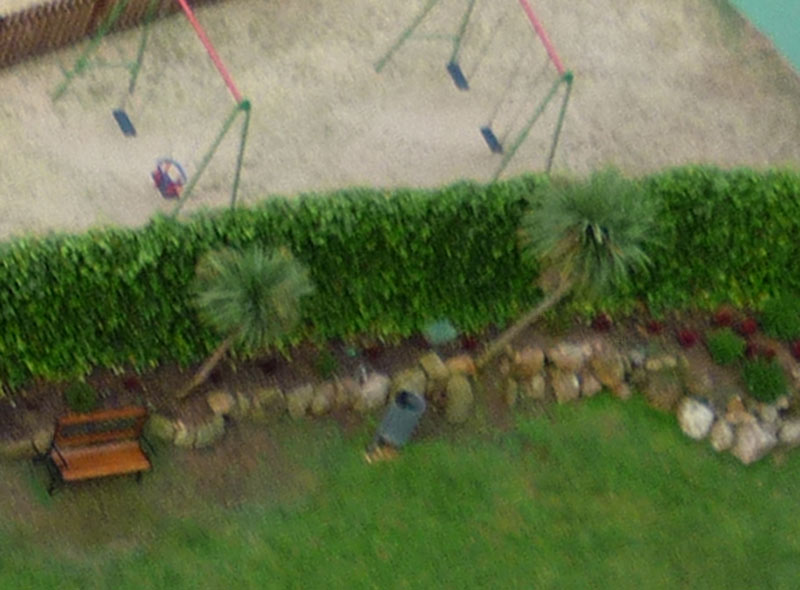 P1000156.jpg