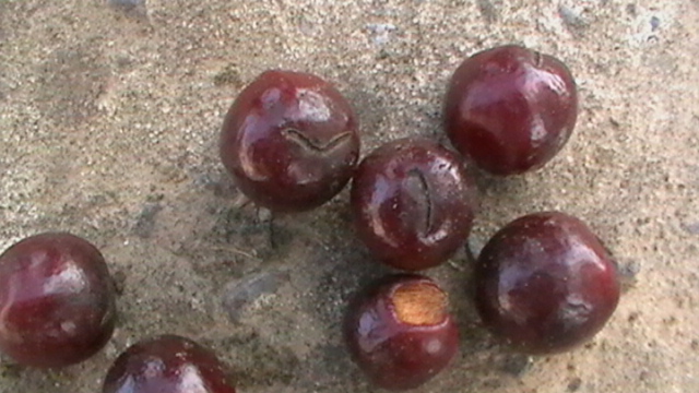 N°3