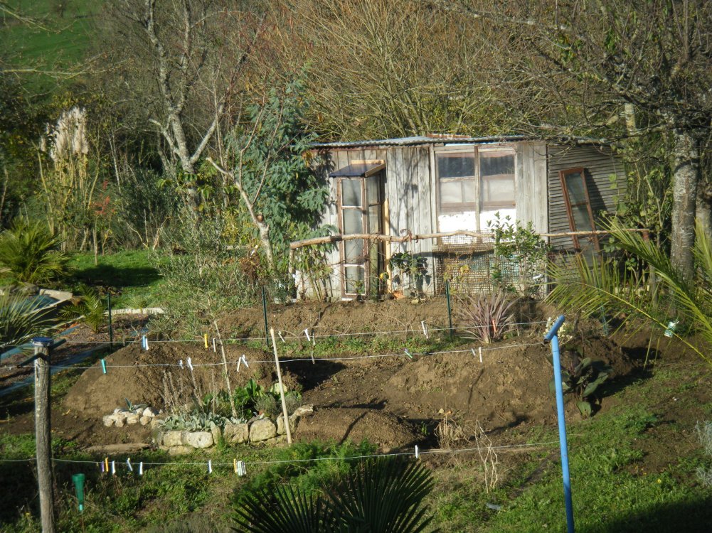 DSCF1001 (copie).JPG