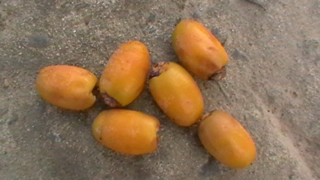 N°2