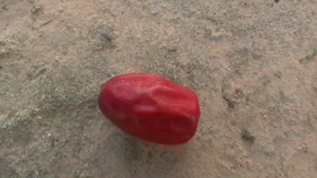 N°1