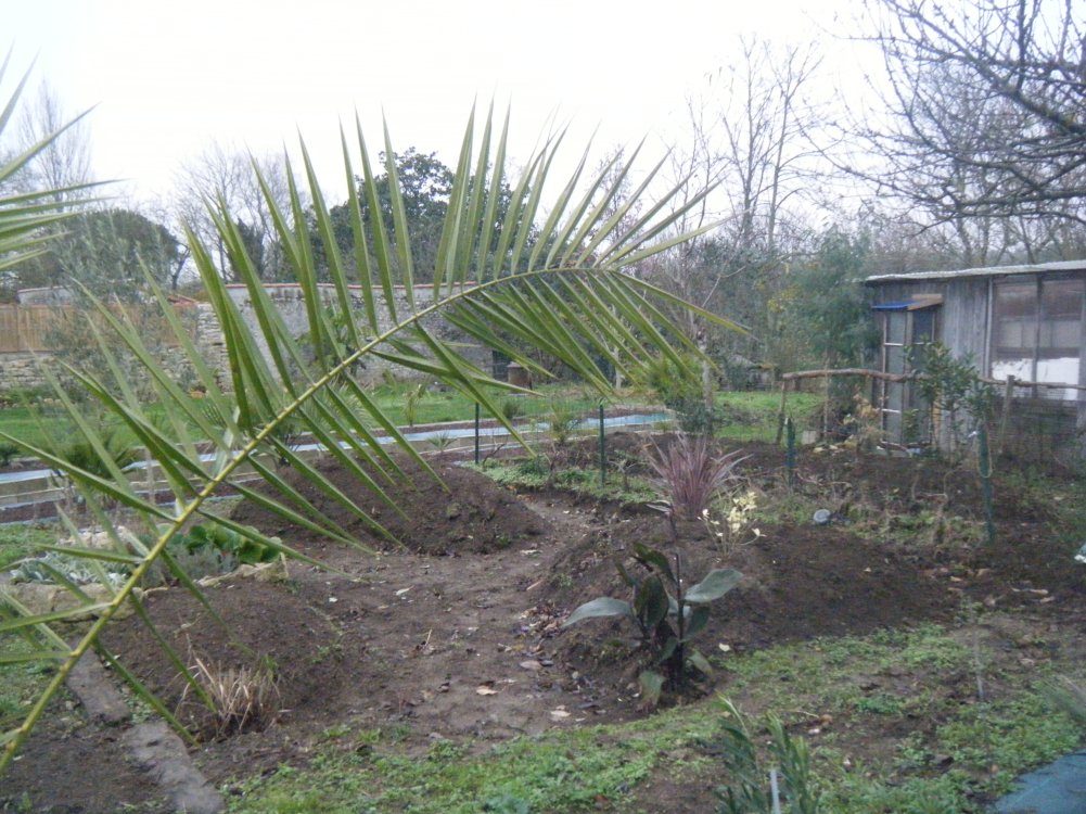 DSCF1014 (copie).JPG