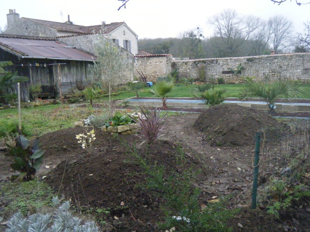 DSCF1019 (copie).JPG