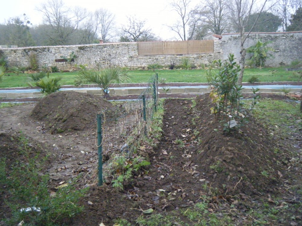 DSCF1020 (copie).JPG