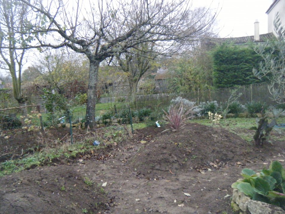 DSCF1055.JPG
