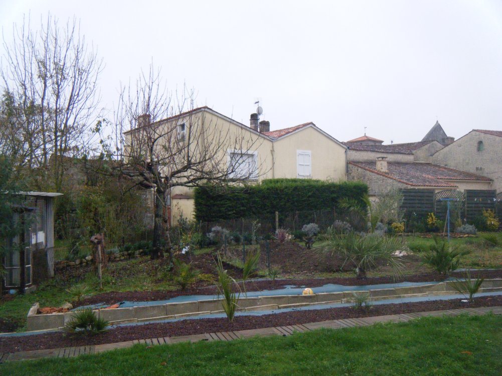 DSCF1044 (copie).JPG