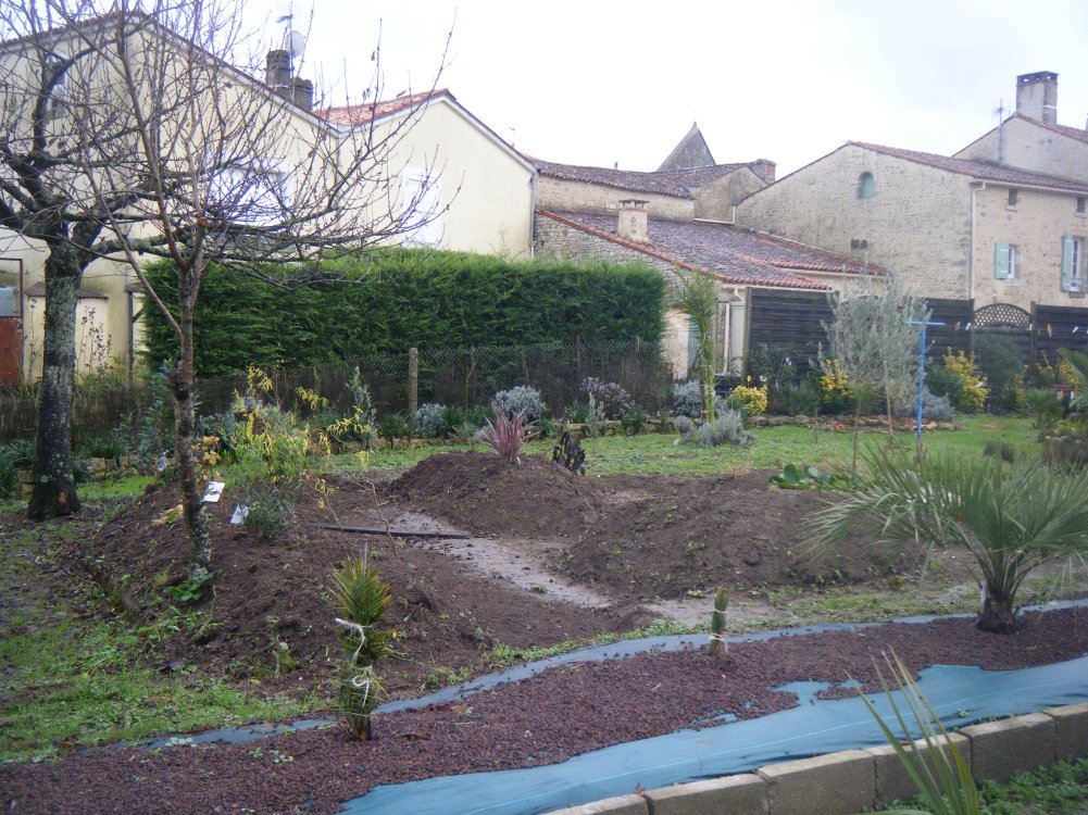 Vue du fond de l'allée,devant la cabane,le grillage est enlevé ,les piquets arrachés,comme la vigne,du coup, j'ai remonté la terre sur le talus.