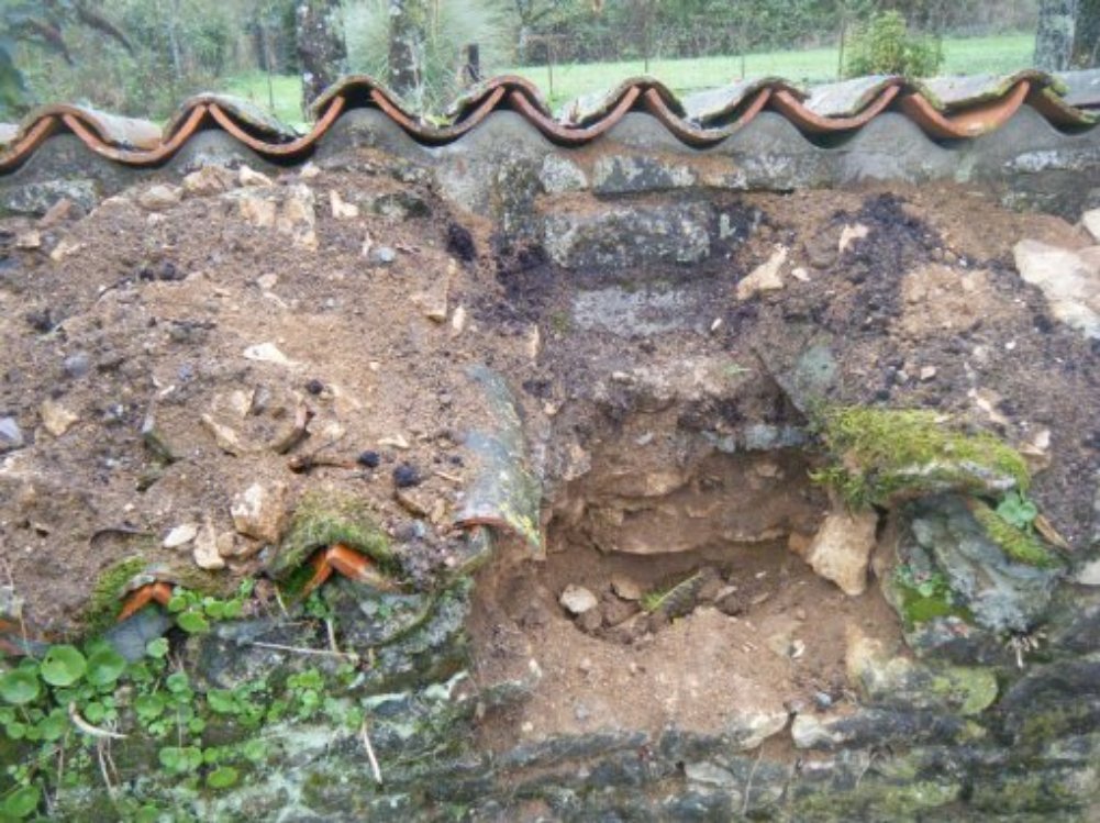 Trou de plantation pour le Princep,sur la murette fond de l'allée côté gauche de l'allée.