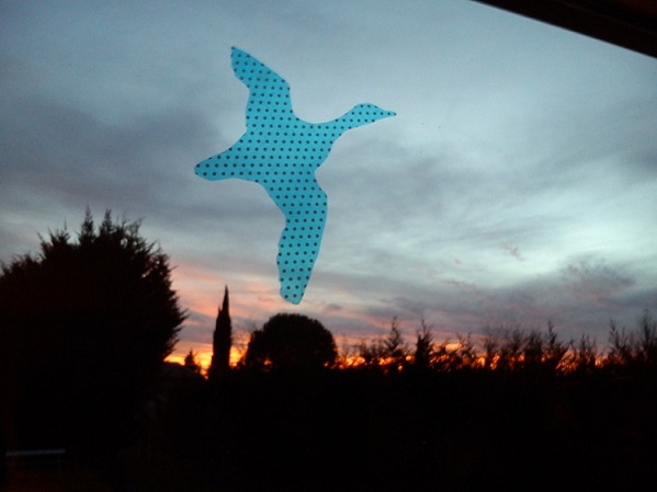 DSC_0016coucher soleil oiseau2.jpg