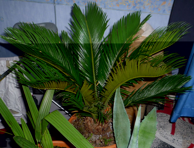 P10104002.jpg
