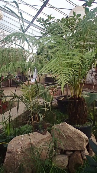PC310161.JPG
