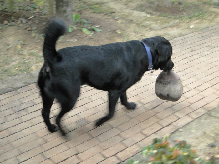 DSC09617.JPG
