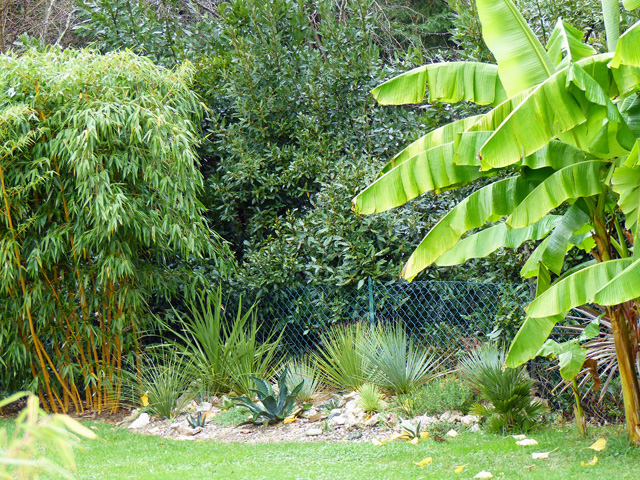 Après une saison seulement