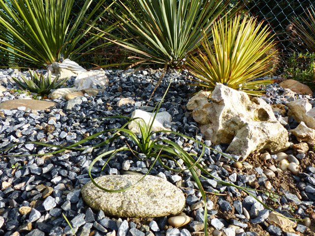 P1020407fh.jpg