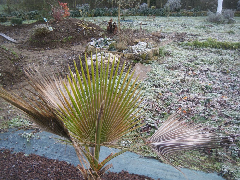 DSCF1526.JPG