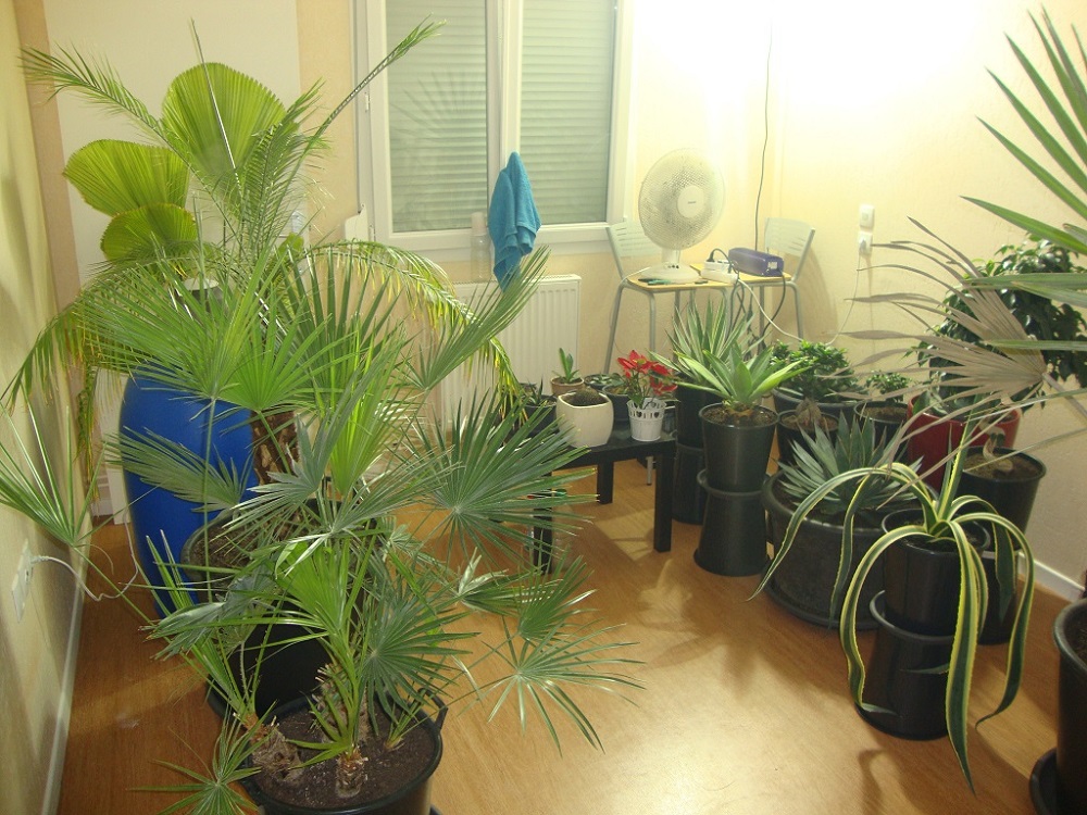 DSC02734.JPG
