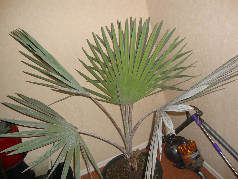 DSC02677.JPG