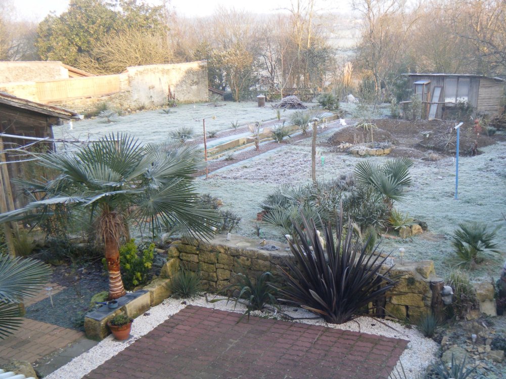 DSCF1529.JPG