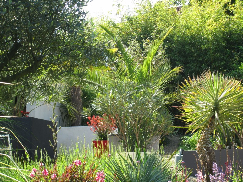 photo jardin printemps 2014 074 (800x600).jpg