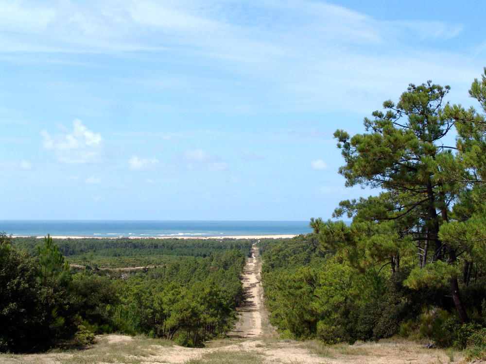 une vue du littoral  ( côte sauvage ) cette semaine